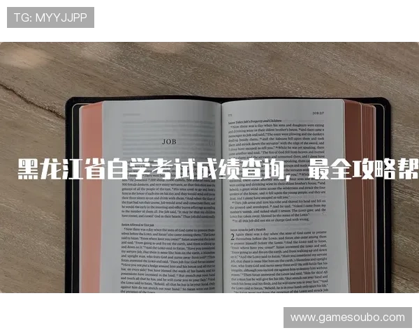 欧博账号注册流程全解析，帮助用户轻松应对注册中的各种挑战